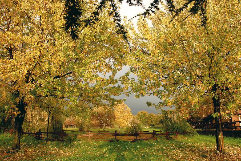 Agriturismo Monte Due Torri Genzano di Roma Bagian luar foto