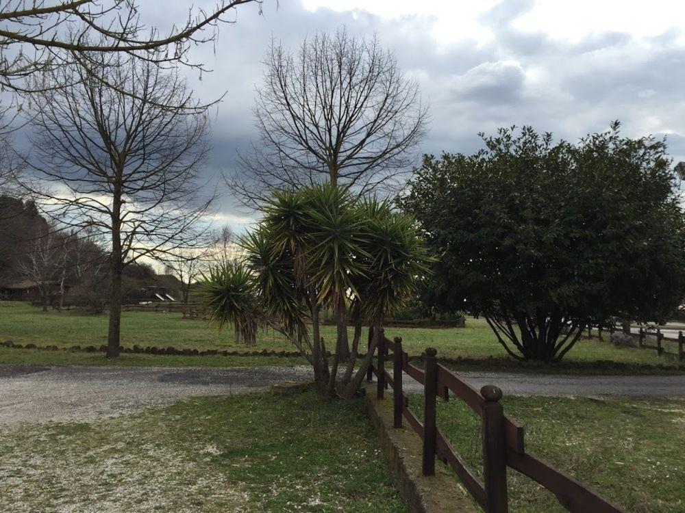 Agriturismo Monte Due Torri Genzano di Roma Bagian luar foto